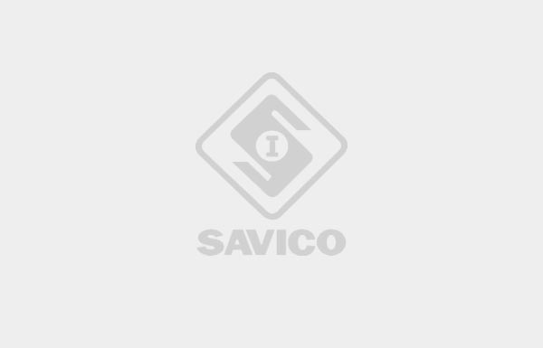 SAVICO liên tục 5 năm đạt top 500 Doanh Nghiệp lớn nhất Việt Nam 